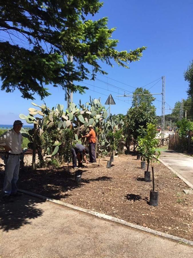Le Case Del Parco Peschici Εξωτερικό φωτογραφία